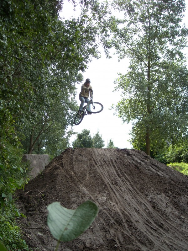 Afbeelding